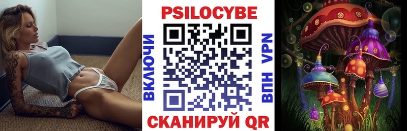 дарнет шоп  Певек  ссылка на мегу как зайти  Галлюциногенные грибы Psilocybe 