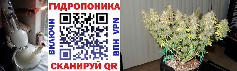 сколько стоит  Певек  Конопля OG Kush 